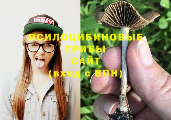 PSILOCYBIN Пенза