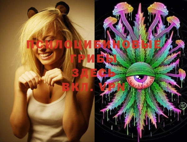 PSILOCYBIN Пенза