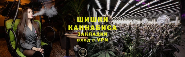 PSILOCYBIN Пенза