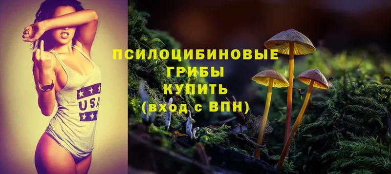 Псилоцибиновые грибы Cubensis  Грязи 