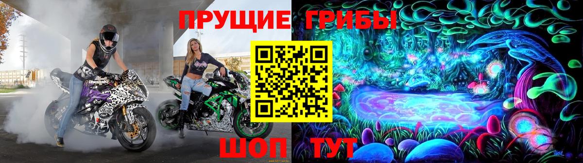 Галлюциногенные грибы прущие грибы  Галлюциногенные грибы мицелий  Грязи  Вход с VPN 